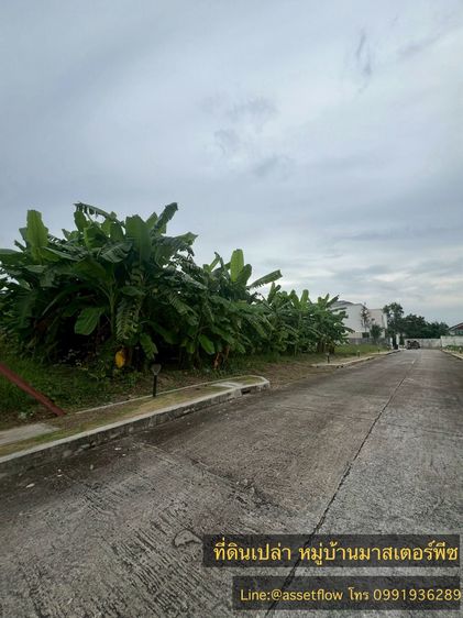 ที่ดินเปล่า  หมู่บ้านมาสเตอร์พีซ รูปที่ 3