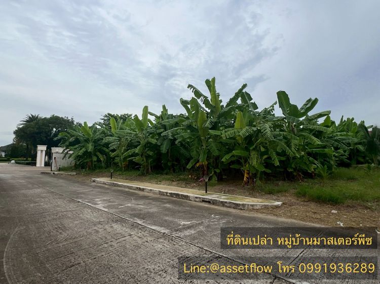 ที่ดินเปล่า  หมู่บ้านมาสเตอร์พีซ รูปที่ 2