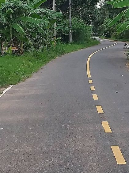 ไม่มี ใช่ ขายบ้านสวนพร้อมที่ดินอำเภอจักราชจังหวัดนครราชสีมา​

บ้านหนองคล้าถนนเทศบาล20ซอย4

 รูปที่ 4