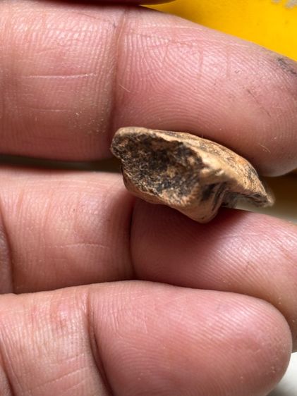 พระรอดเก่า รูปที่ 3