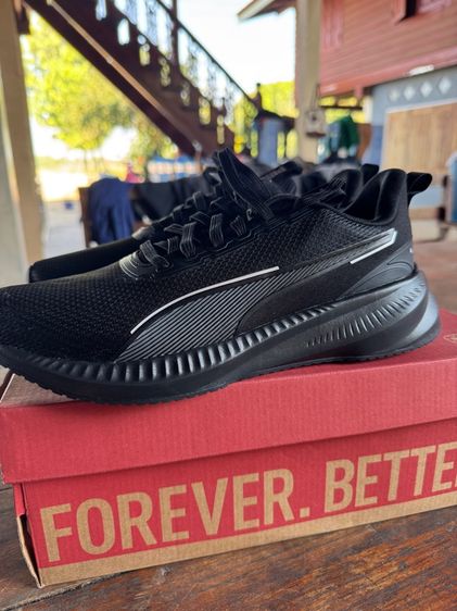 ดำ ผ้า รองเท้าผ้าใบ UK 8.5 | EU 42 2/3 | US 9 รองเท้า Puma flyer lite 3 