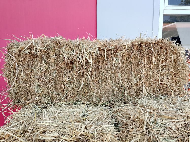 กองฟางอัดก้อน 7 ก้อน รูปที่ 2