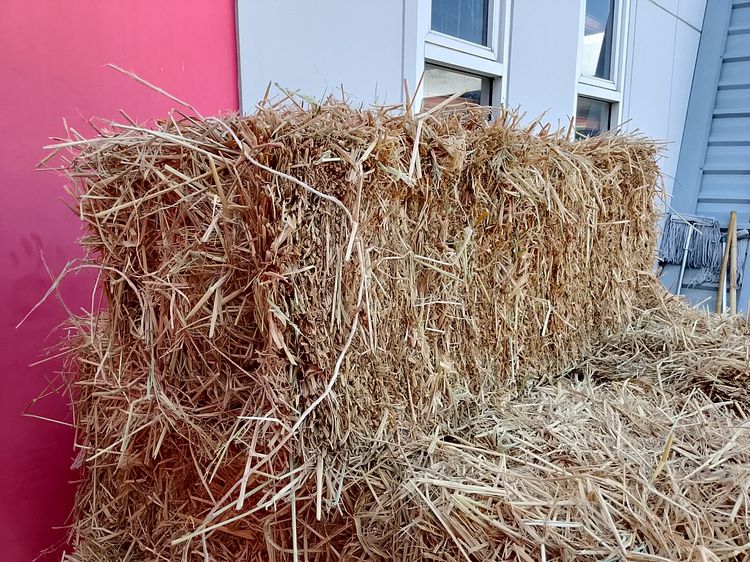 กองฟางอัดก้อน 7 ก้อน รูปที่ 3