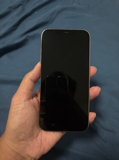 ไอโฟน 12 Promax 256 GB เครื่องนอกใช้งานปกติทุกอย่าง รูปที่ 14