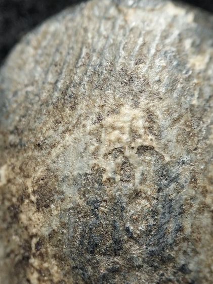 พระปิลันทน์เปลวเพลิงครับ รูปที่ 9