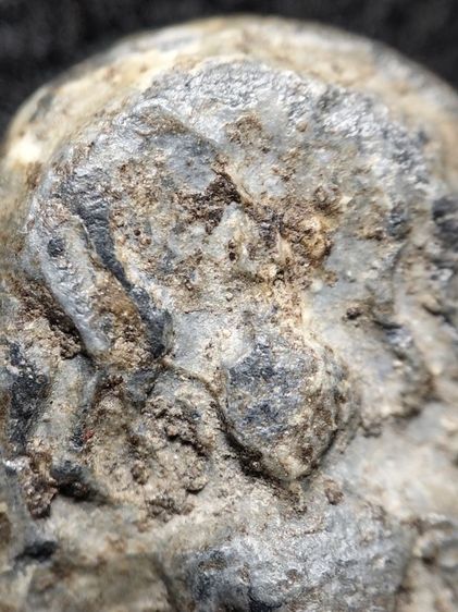 พระปิลันทน์เปลวเพลิงครับ รูปที่ 3