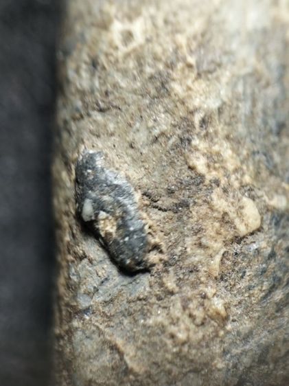 พระปิลันทน์เปลวเพลิงครับ รูปที่ 16