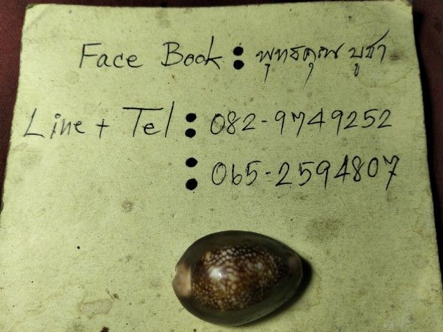 เบี้ยแก้ไม่ทราบสำนักครับ รูปที่ 3