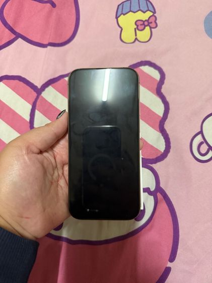 ไอโฟน16 pro