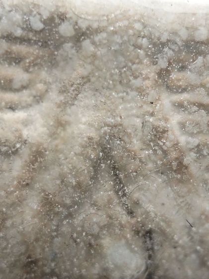 พระผงวัดปากน้ำครับ รูปที่ 14