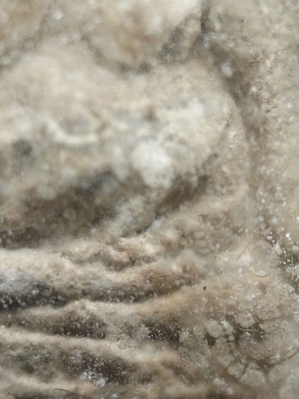 พระผงวัดปากน้ำครับ รูปที่ 13