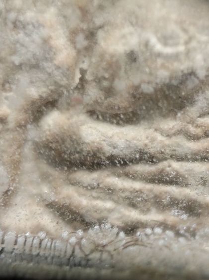 พระผงวัดปากน้ำครับ รูปที่ 8