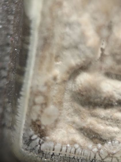 พระผงวัดปากน้ำครับ รูปที่ 9