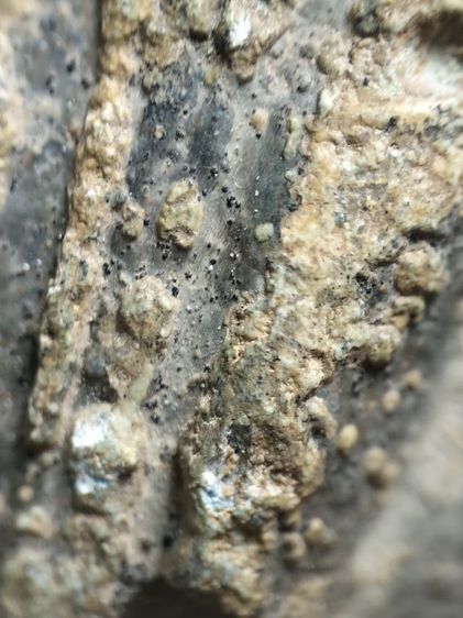 ❌ปิดครับ❌พระร่วงยืนเนื้อตะกั่วสนิมแดงสองหน้าครับ รูปที่ 8