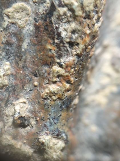 ❌ปิดครับ❌พระร่วงยืนเนื้อตะกั่วสนิมแดงสองหน้าครับ รูปที่ 13