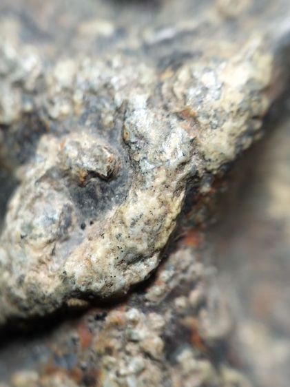 ❌ปิดครับ❌พระร่วงยืนเนื้อตะกั่วสนิมแดงสองหน้าครับ รูปที่ 11