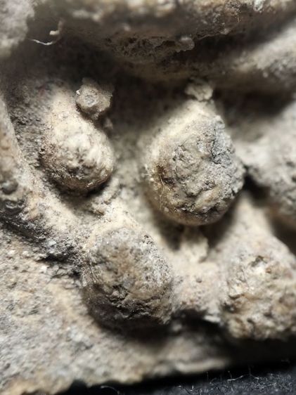 สังกัจจายน์วัดเงินคลองเตยครับ รูปที่ 11