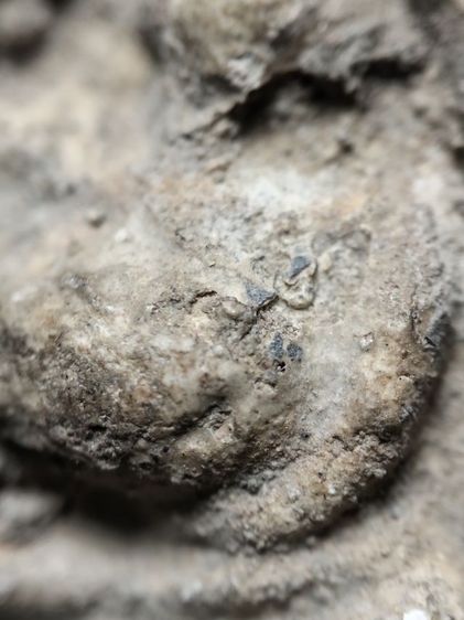 สังกัจจายน์วัดเงินคลองเตยครับ รูปที่ 13