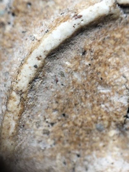 พระสมเด็จเนื้อสวยๆครับ รูปที่ 7