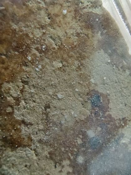 พระสมเด็จวัดบางขุนพรหมพิมพ์ใหญ่ รูปที่ 6