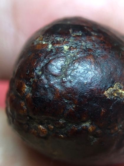 หมากทุยหลวงปู่เอี่ยมวัดหนัง รูปที่ 9