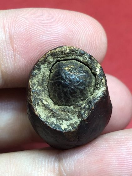 หมากทุยหลวงปู่เอี่ยมวัดหนัง รูปที่ 2