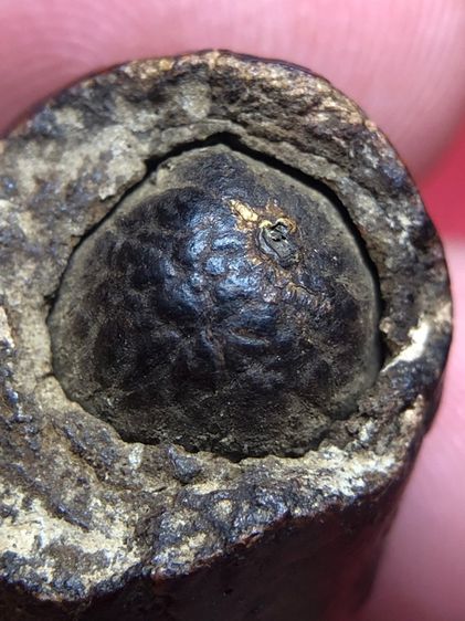 หมากทุยหลวงปู่เอี่ยมวัดหนัง รูปที่ 6