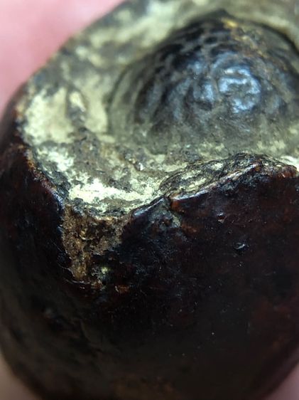 หมากทุยหลวงปู่เอี่ยมวัดหนัง รูปที่ 7