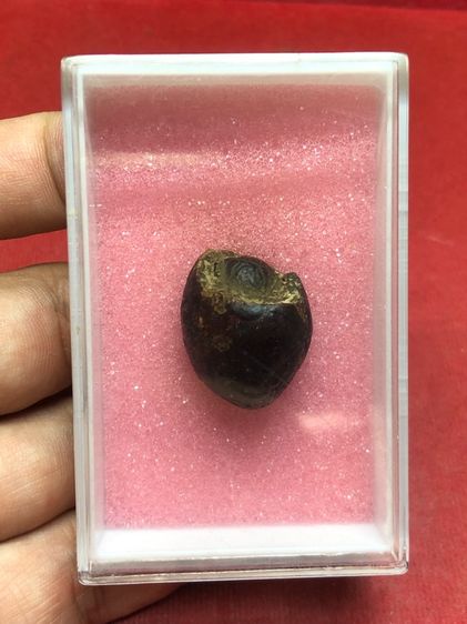 หมากทุยหลวงปู่เอี่ยมวัดหนัง รูปที่ 10