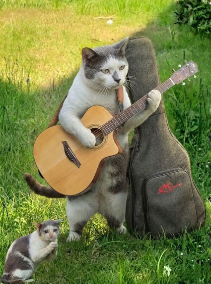 อื่นๆ กีต้าร์โปร่ง กีตาร์โปร่งไฟฟ้า MAYSON M1S CE