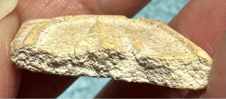 ชิ้นส่วนพระสมเด็จ รูปที่ 6