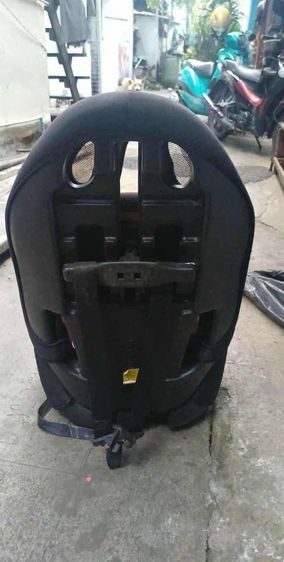 คาร์ซืท รูปที่ 2