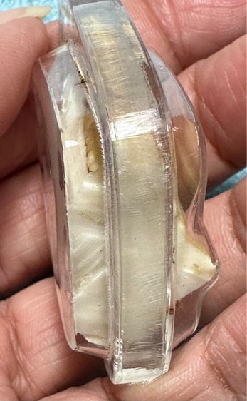 🙏ปลายเขี้ยวหมูตัน🙏เหรียญหล่อหลังจาร  องค์ละ1250 รูปที่ 4