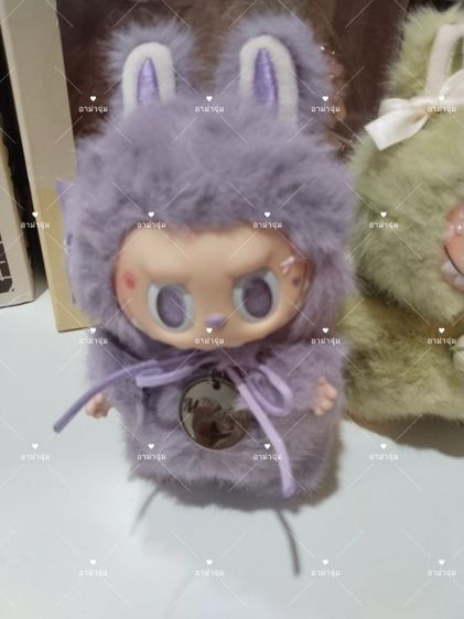 Zimomo ตัวเล็ก  รูปที่ 17