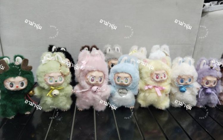 Zimomo ตัวเล็ก  รูปที่ 8