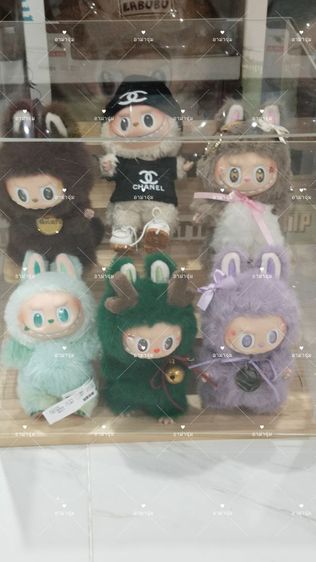 Zimomo ตัวเล็ก  รูปที่ 10