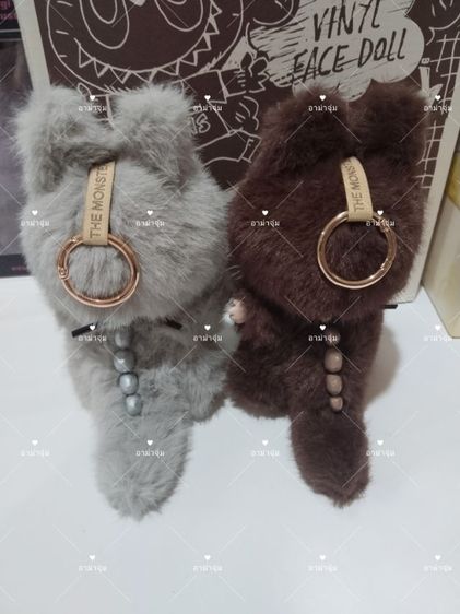 Zimomo ตัวเล็ก  รูปที่ 18