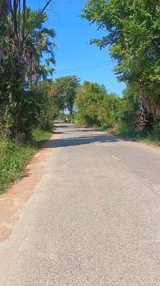 ใช่ ขายที่ดินตำบลโพธิ์กลางอำเภอเมืองนครราชสีมา

ขนาดที่ดิน 15-3- 80 ไร่
 รูปที่ 3