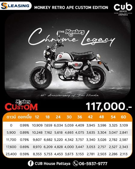 Monkey  รูปที่ 6