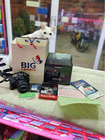 - Canon EOS R50 Mirrorless Camera รูปที่ 4