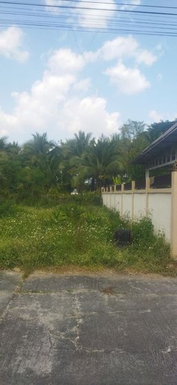 ใช่ ที่ดินเชียงใหม่ ทำเลดี แถวหางดง สันผักหวาน รูปที่ 4