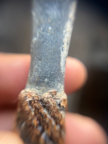 เปิดตะกรุดจระเข้ขบฟันยาว 3.8 นิ้วไม่ทราบที่ (มีสินค้าหลายรายการกดเข้ามาดูในโปรไฟล์ได้เลยครับ) รูปที่ 4