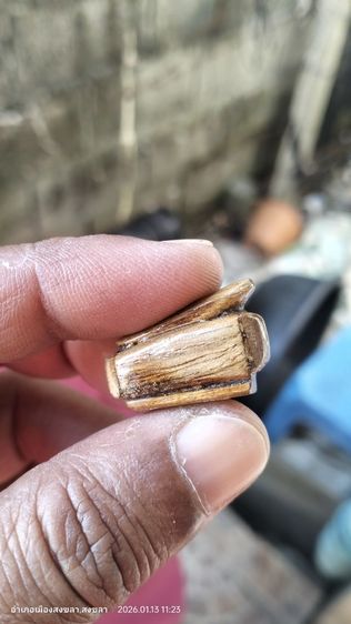 เครื่องรางแปลกๆ รูปที่ 5