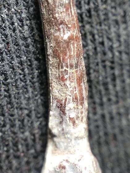 พระท่ากระดานเนื้อตะกั่วสนิมแดงครับ รูปที่ 15