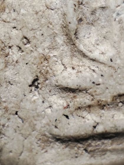 พระสมเด็จปรกโพธิ์เนื้อสวยเก่าครับ รูปที่ 5