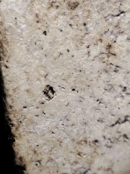 พระสมเด็จปรกโพธิ์เนื้อสวยเก่าครับ รูปที่ 16