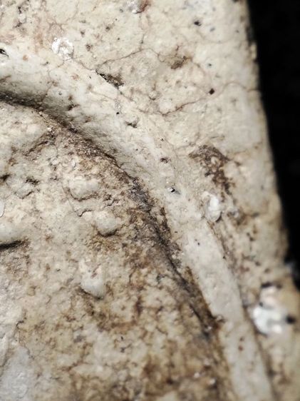 พระสมเด็จปรกโพธิ์เนื้อสวยเก่าครับ รูปที่ 13