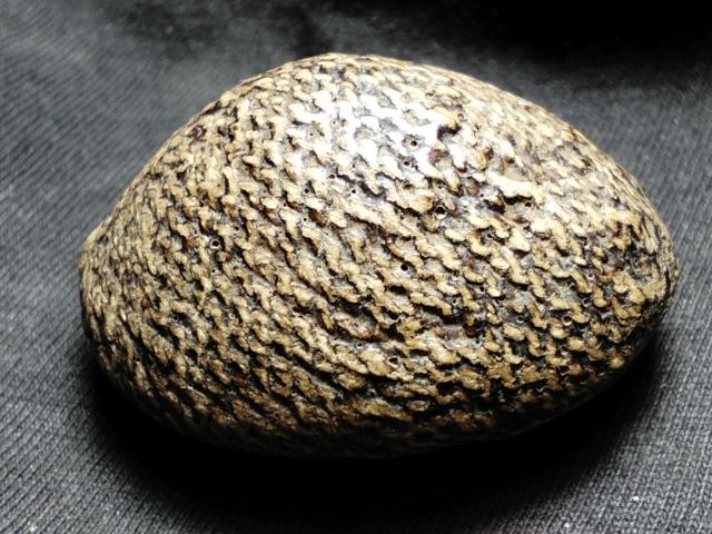 เบี้ยแก้ถักเชือกลงรักเก่าจัดมันส์ๆครับ