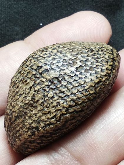 เบี้ยแก้ถักเชือกลงรักเก่าจัดมันส์ๆครับ รูปที่ 11