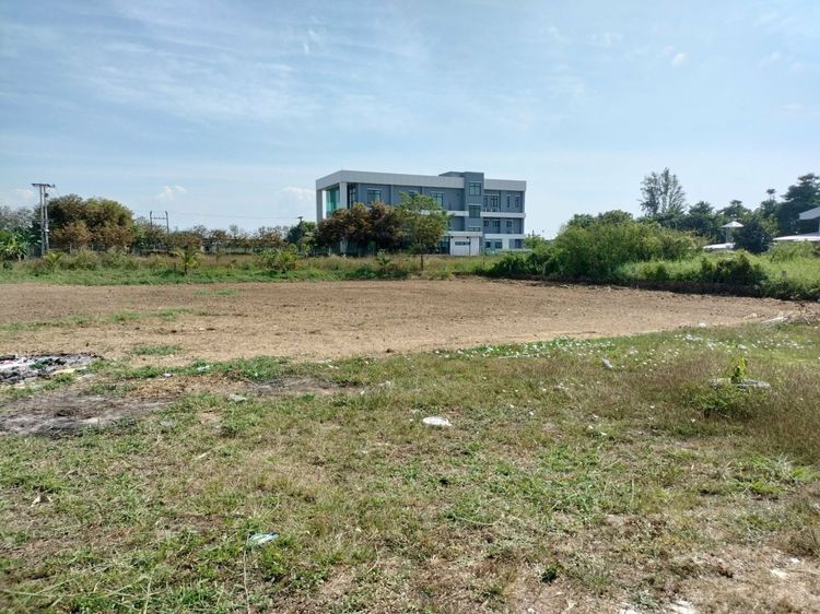 เจ้าของขายเองที่ดินเชียงใหม่โซนสารภีหนองแฝกถมแล้วแปลงสวยผืนสี่เหลี่ยมตรว.ละ5500บาท 432ตรว. รูปที่ 4